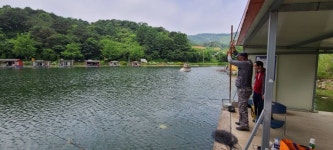 양평수곡낚시터 유료낚시터 > 힐링 수곡낚시터 6월 첫주말 금,토 조황 및 방류 : 낚시사랑