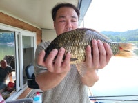 수원좌대 유료낚시터 > 배수기 사짜대물!! 송전지 수원좌대 : 낚시사랑