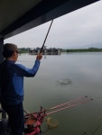 마전낚시공원 유료낚시터 > 계속되는 꾸준한 호조황소식 : 낚시사랑