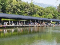 밤밭낚시터 유료터정보 > 4월23일 밤밭 붕어어망터졌네요 : 낚시사랑