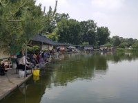 우금낚시공원 유료낚시터 > 주말조황 좋았습니다.. : 낚시사랑