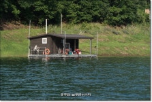 늘푸른낚시터 유료낚시터 > 늘푸른의 조황이 살아나는 물색입니다. : 낚시사랑