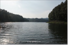 늘푸른낚시터 유료낚시터 > 늘푸른의 조황이 살아나는 물색입니다. : 낚시사랑