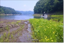 늘푸른낚시터 유료낚시터 > 늘푸른의 조황이 살아나는 물색입니다. : 낚시사랑