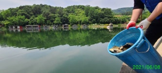 양평수곡낚시터 유료낚시터 > 6월 둘째주 힐링 수곡낚시터 주초 조황 및 오늘 붕어방류 : 낚시사랑