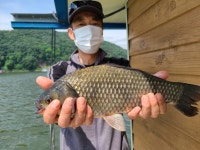 수원좌대 유료낚시터 > 주말 사짜두마리!! 마릿수 조황!! 수원좌대 : 낚시사랑