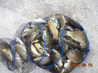 관리낚시터 유료낚시터 >  도심속의 작은 쉼터  : 낚시사랑