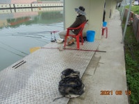 관리낚시터 유료낚시터 >  도심속의 작은 쉼터  : 낚시사랑