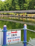 삼하낚시터 유료낚시터 > ## (삼하) 6월 2째주 조황입니다.. ## : 낚시사랑