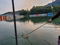 초원낚시터 유료낚시터 > ****6월16일조황소식**** : 낚시사랑