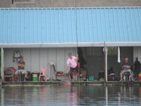 초원낚시터 유료낚시터 > ****6월16일조황소식**** : 낚시사랑