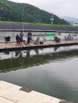 진우낚시터 유료낚시터 > 조황정보입니다... : 낚시사랑