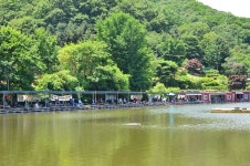 상덕낚시터 유료낚시터 > [상덕낚시터] 6월 2주차 이야기 - 용인 상덕 : 낚시사랑