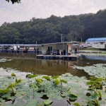 아산신수 유료낚시터 > 아산 신수지 6월 세째주말 화보입니다. : 낚시사랑