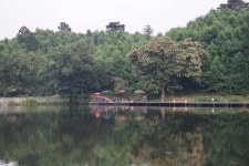 회암지 유료낚시터 > 안성 회암지 4짜 마릿수조황 이어지네요^^ : 낚시사랑