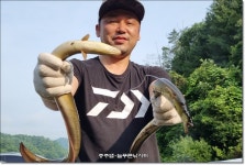 늘푸른낚시터 유료낚시터 > 충주호 늘푸른 주중 조황소식 : 낚시사랑