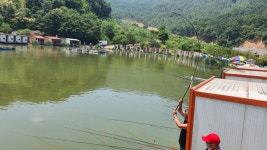 즐거운복상골 유료낚시터 > 장어가 움직이네요~~~ : 낚시사랑