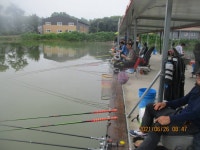 쌍방죽낚시터 유료낚시터 > 쌍방죽 조황 소식 : 낚시사랑