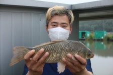 내동지 유료낚시터 > *** 1일4짜 9마리 *** : 낚시사랑