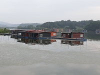 성호낚시터 유료낚시터 > 꾸준한 조황 29(화) 조황정보 이천성호낚시터. : 낚시사랑