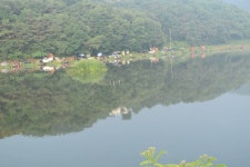 토종대물항곡지 유료낚시터 > 조황소식 알려드립니다 : 낚시사랑