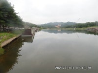 도곡낚시터 유료낚시터 > 도곡낚시터 붕어 조황 감사합니다 : 낚시사랑