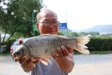 내동지 유료낚시터 > *** 8주년 50일 이벤트 *** : 낚시사랑