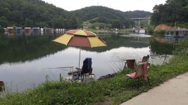 큰골낚시터 유료낚시터 > 조황정보 입니다~~~ : 낚시사랑