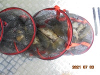 관리낚시터 유료낚시터 > 도심속의 작은 쉼터 화성 관리낚시터 : 낚시사랑