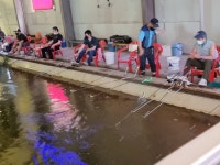 밤밭장어낚시터 유료낚시터 > 밤밭실내 장어낚시터 : 낚시사랑
