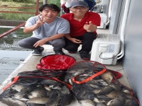 초원낚시터 유료낚시터 > ****7월6일조황소식**** : 낚시사랑