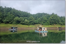늘푸른낚시터 유료낚시터 > 깔좋은 충주댐 대물 보세요 : 낚시사랑