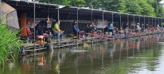당골낚시터 유료낚시터 > ~~~조황정보~~~ : 낚시사랑
