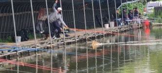 당골낚시터 유료낚시터 > ~~~조황정보~~~ : 낚시사랑