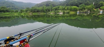 양평수곡낚시터 유료낚시터 > 7월둘째주 피서낚시 힐링 수곡낚시터 수,목 조황 및 오늘 붕어방류 완료 : 낚시사랑