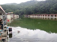 동교낚시터 유료낚시터 > 포천동교낚시터입니다 : 낚시사랑