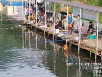 양평그린낚시터 유료낚시터 > 7월12일부터 방문하시는 조사님 KF94마스크 1장씩 지급합니다 입어료요금은 종전3만원입니다 방가로... 