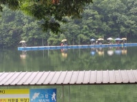 양평그린낚시터 유료낚시터 > 이벤트 결과 조황 다음주도 이벤트 합니다7월12일부터 방문하시는 조사님 KF94마스크 1장씩 지급합니다 입어료..