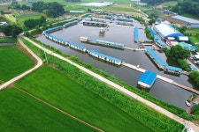 연곡낚시터 유료낚시터 > 긴급 속보~!!! : 낚시사랑