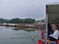 동교낚시터 유료낚시터 > 포천동교낚시터입니다 : 낚시사랑