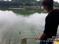 고초골낚시터 유료낚시터 > 고초골 주말조황 및 어자원방류상황 : 낚시사랑