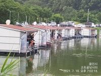 고초골낚시터 유료낚시터 > 고초골 주말조황 및 어자원방류상황 : 낚시사랑