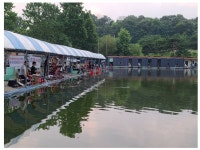 고잔낚시터 유료낚시터 > 양어장 손맛터/ 잡이터 호조황 입니다. (수시방류) : 낚시사랑