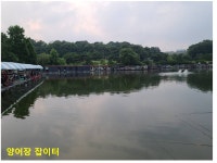 고잔낚시터 유료낚시터 > 양어장 손맛터/ 잡이터 호조황 입니다. (수시방류) : 낚시사랑
