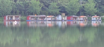 양평수곡낚시터 유료낚시터 > 힐링 피서낚시 양평 수곡낚시터 5짜붕어 포함 7월셋째주 금,토 주말 조황 및 붕어 방류 : 낚시사랑