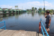 영종낚시터(구만정낚시터) 유료낚시터 > 덥고.. 까탈스런 입질 중에도 낚는 분은 낚으셨네요.!^^* : 낚시사랑
