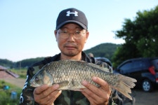 내동지 유료낚시터 > *** 49.2cm *** : 낚시사랑