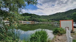 즐거운복상골 유료낚시터 > 복숭아의 계절입니다~~~ : 낚시사랑