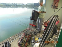 오빈낚시터 유료낚시터 > **** 주말조황 및 방류안내 **** : 낚시사랑