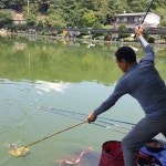 우금낚시공원 유료낚시터 > 열정의주말과 호조황의연속~~ : 낚시사랑